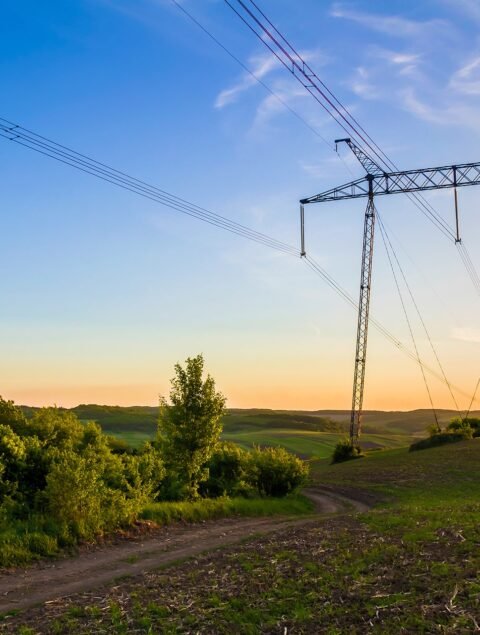 beautiful-wide-panorama-high-voltage-lines-power-pylons-stretching-through-spring-fields-group-green-trees-dawn-sunset-transmission-distribution-electricity-concept beautiful-wide-panorama-high-voltage-lines-power-pylons-stretching-through-spring-fields-group-green-trees-dawn-sunset-transmission-distribution-electricity-concept